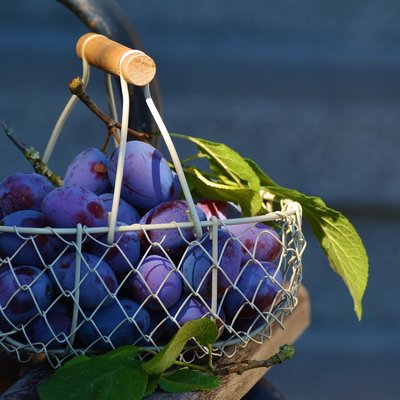 images
